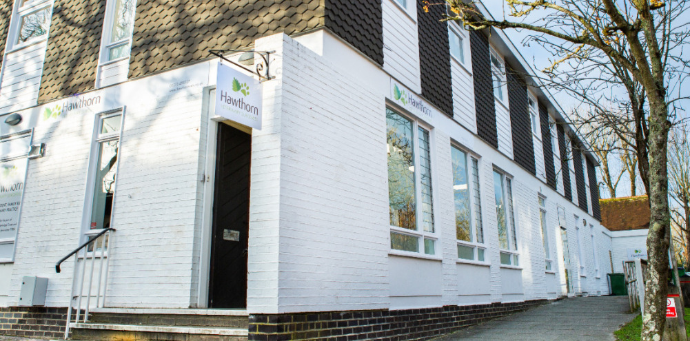 main surgery at Henfield Practice