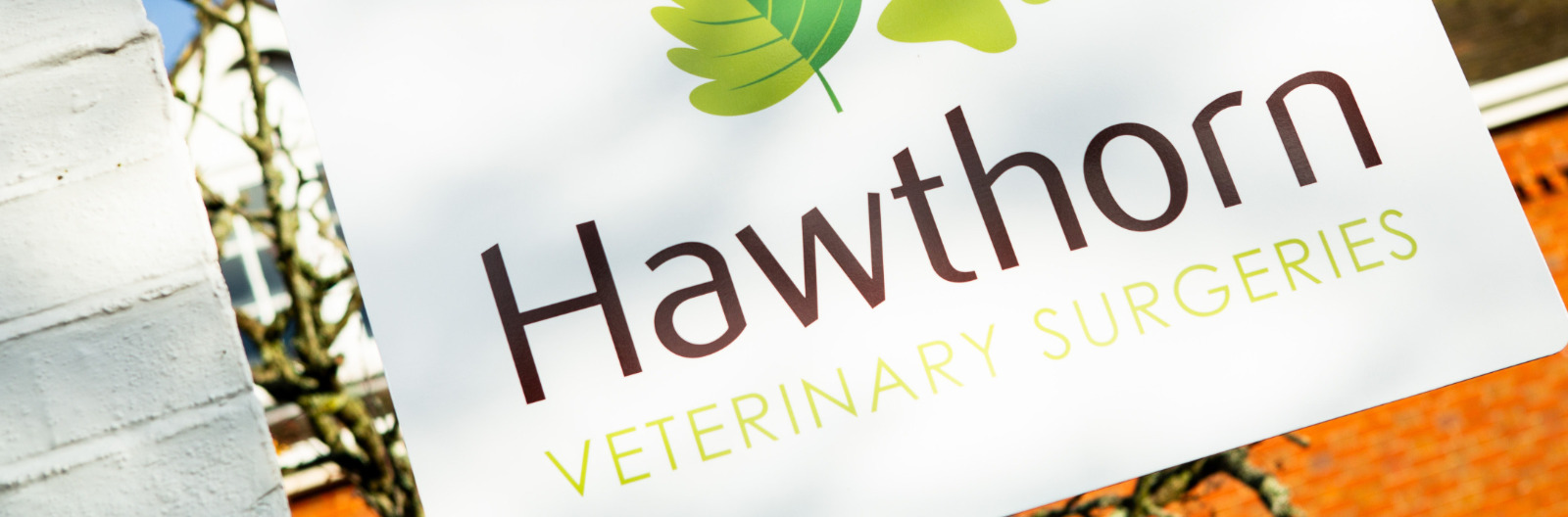 Surgeries Hawthorn Vets