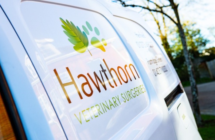 Home visit Services at Hawthorn Vets