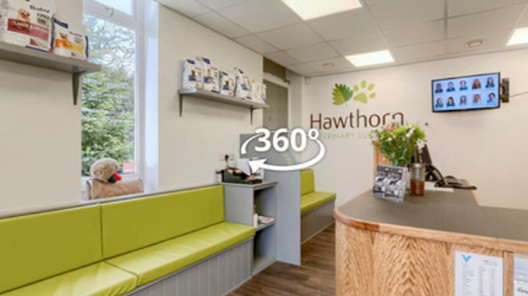 Look around our Henfield Practice