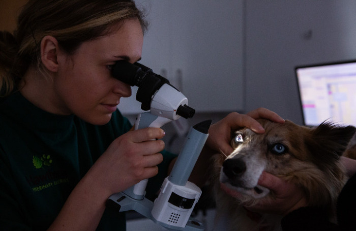 Equipment and Technology opthalmology