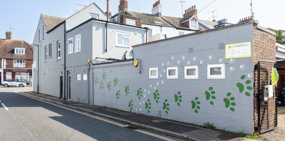 Partridge Green surgery