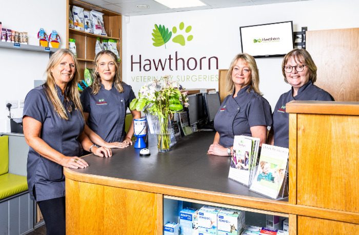 Receptionists at Hawthorn Vets