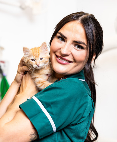 The Henfield Practice staff training