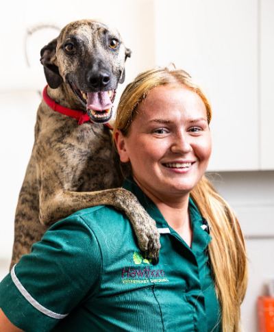 The Henfield Practice appointments