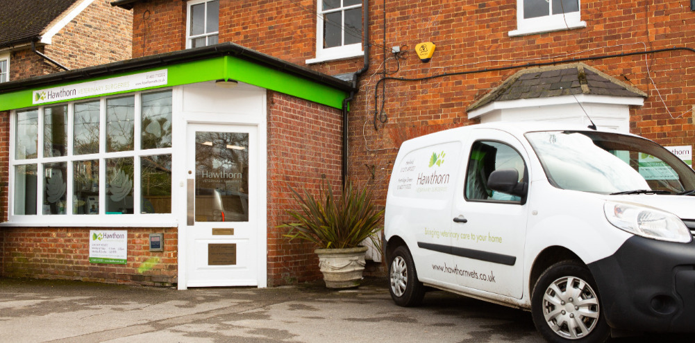 Partridge Green surgery