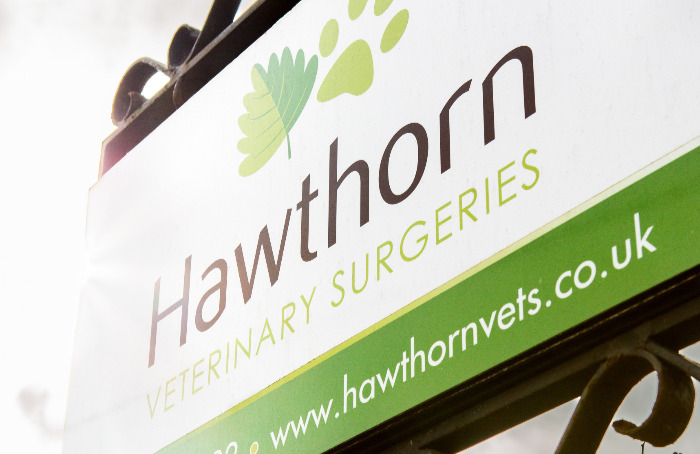 Hawthorn Vets Blog page