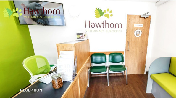 Look around our Henfield Practice