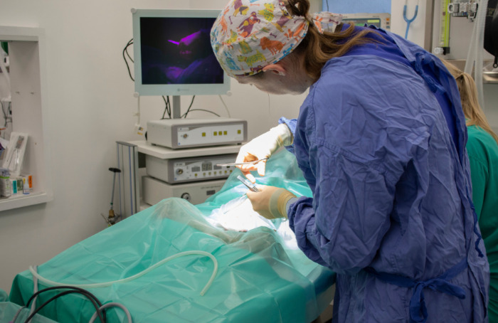 Equipment and Technology laporoscopy